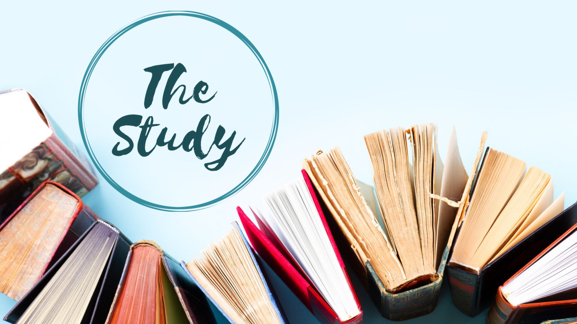 The Study